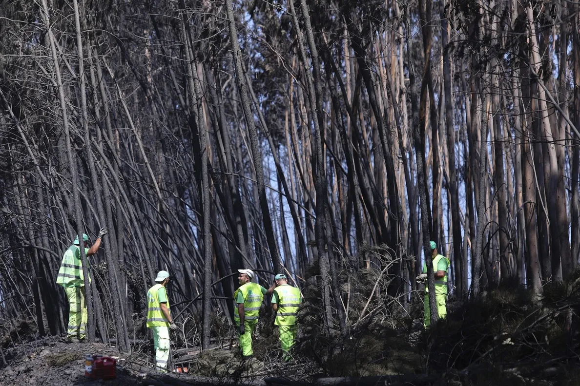 Informe revela desorganización y destrucción de pruebas en el fuego de Pedrógão