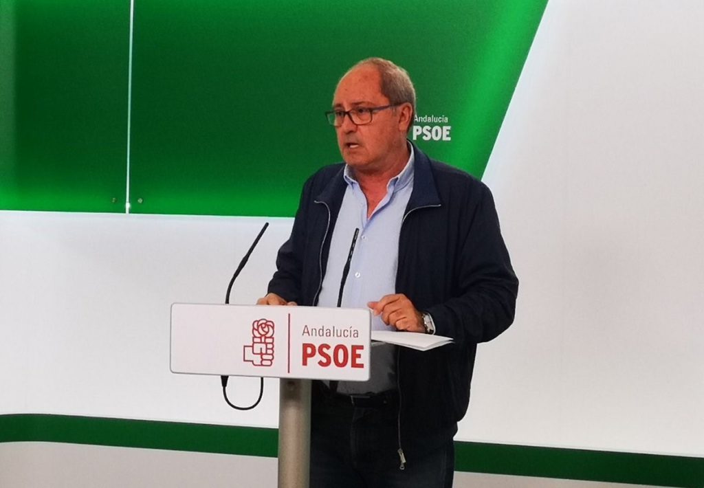 PSOE-A ve con «optimismo» las próximas municipales ante la posibilidad de «ganar» en las ocho capitales