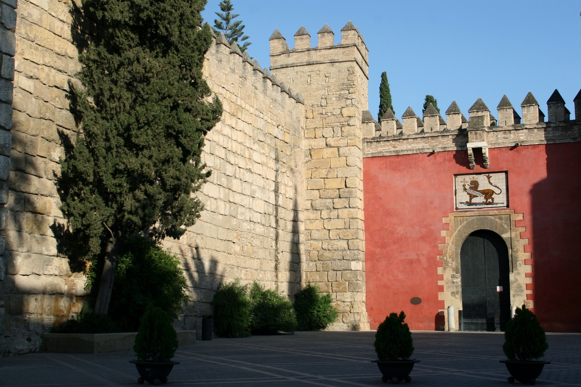El Ayuntamiento ve «fortuito» el accidente del Alcázar de Sevilla al no presentar «pudriciones» el árbol