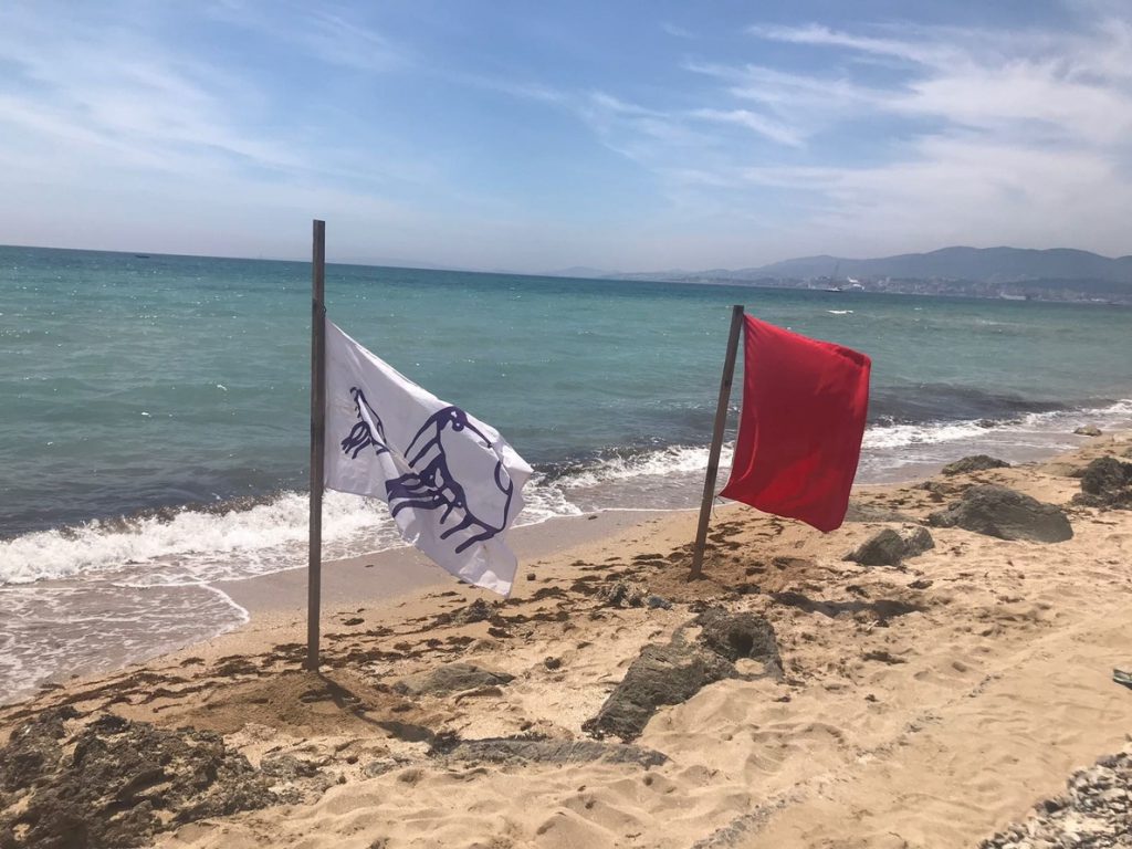 Cerradas por precaución dos playas en Palma por presencia de ejemplares de carabela portuguesa