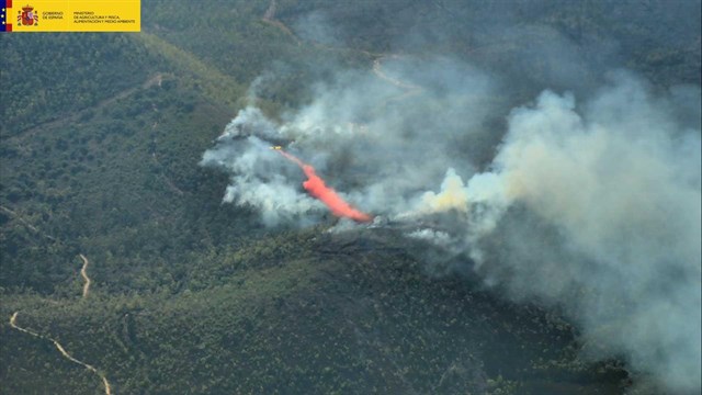 Los últimos fuegos en la Sierra de Huelva han sido «intencionados sin duda»