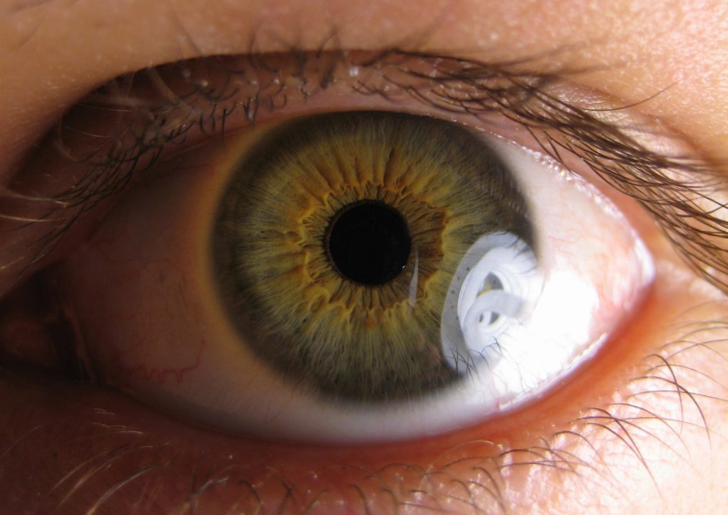 Un estudio apunta que el glaucoma podría ser una enfermedad autoinmune
