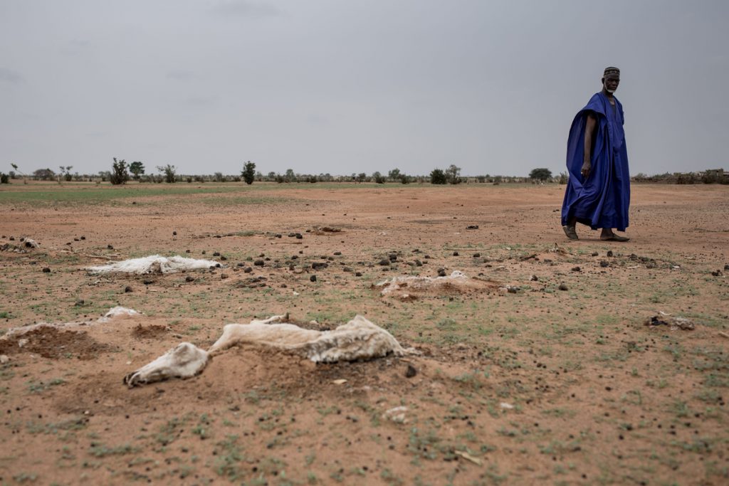 La tercera sequía en seis años deja sin comida a 245.000 personas en Senegal