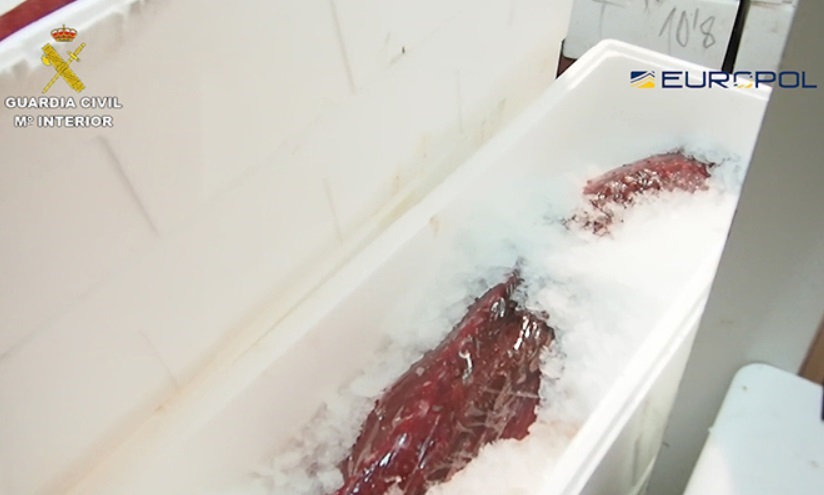La Guardia Civil detiene a 79 personas que comercializaban atún rojo ilegalmente