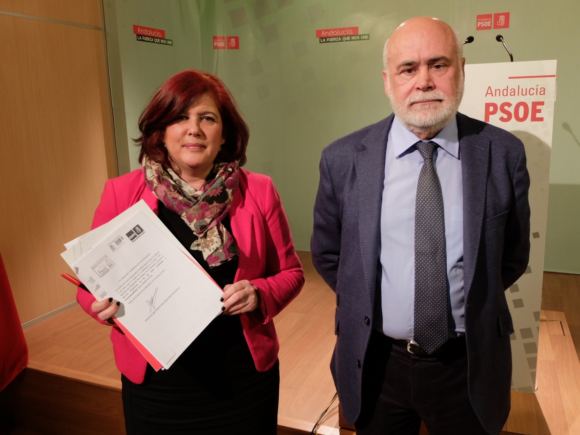 El portavoz del PSOE en la Comisión Constitucional anuncia que no repetirá como diputado en el Congreso
