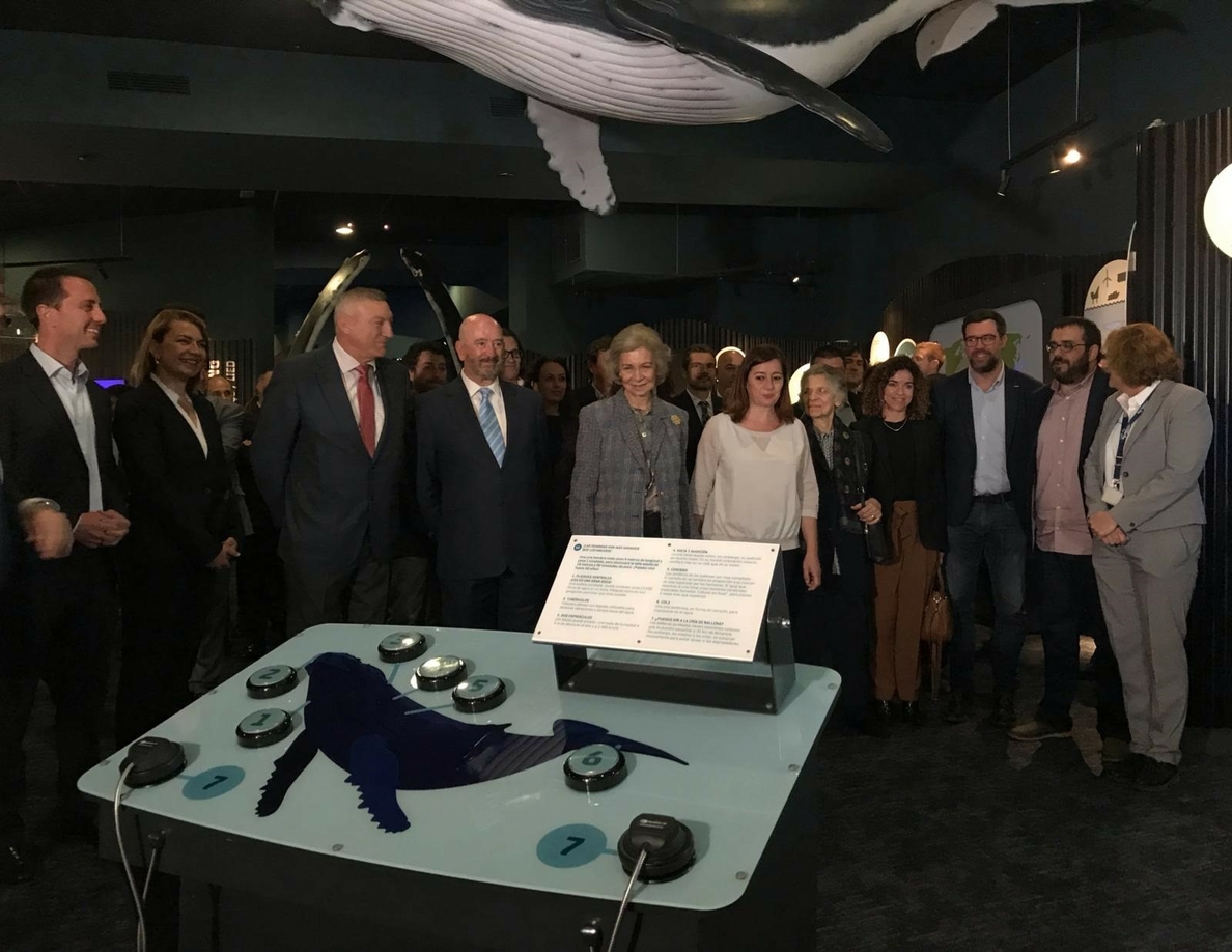 La Reina Sofía inaugura la proyección »Gigantes del Océano» sobre ballenas jorobadas en el Palma Aquarium