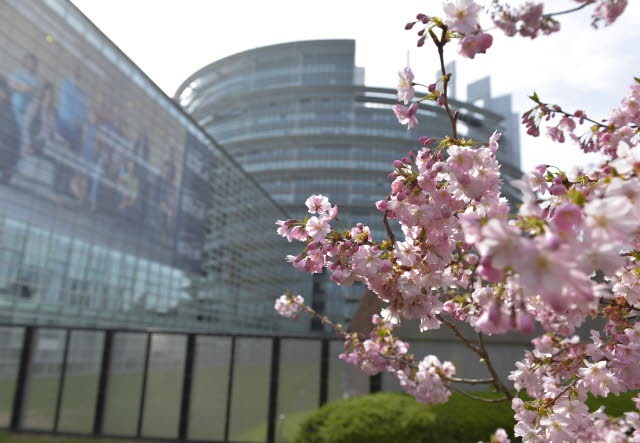 39 candidaturas aspiran a obtener un escaño en las elecciones europeas del 26 de mayo