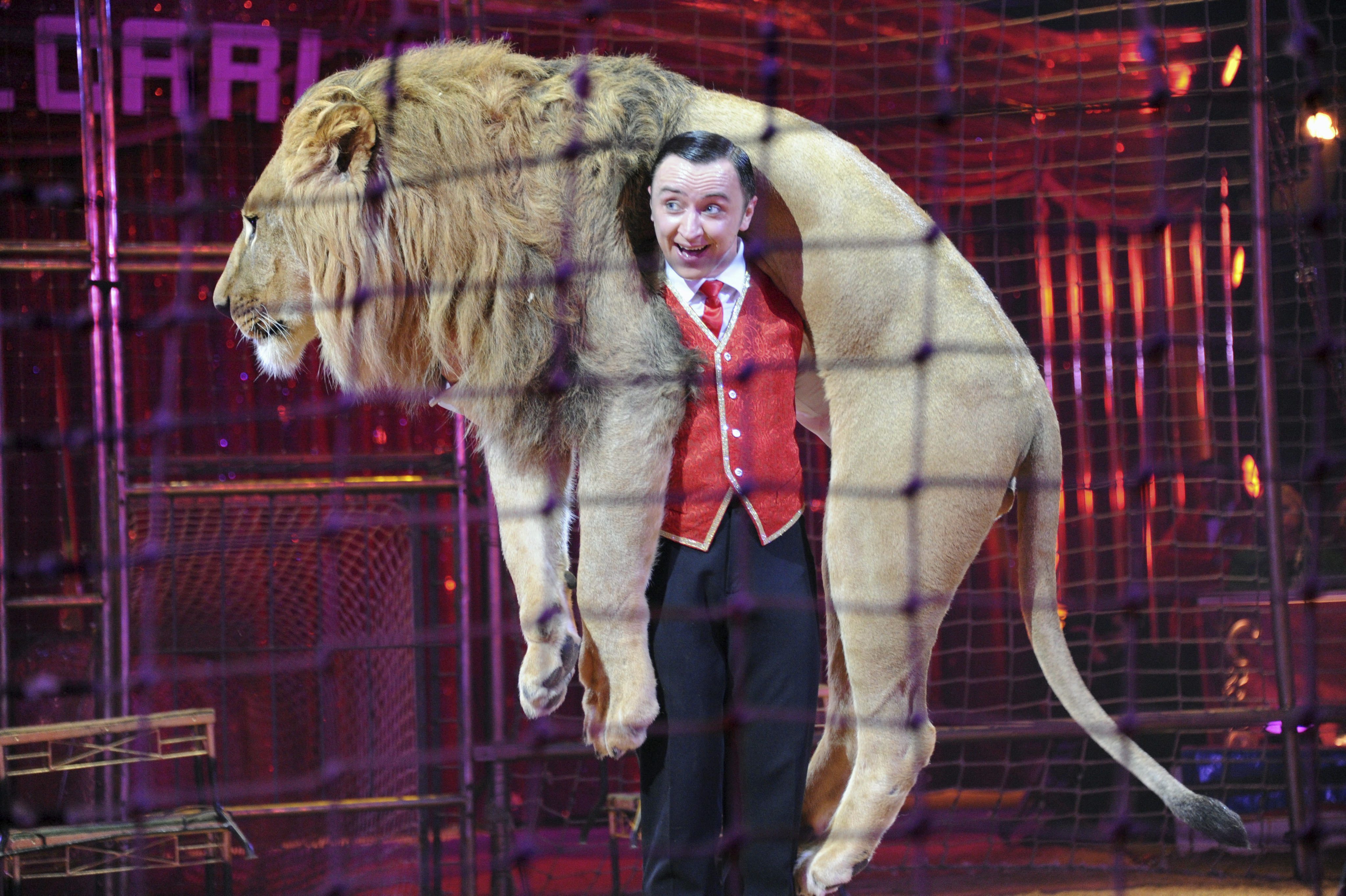 Cultura dejará de subvencionar a circos con animales salvajes a partir de 2022