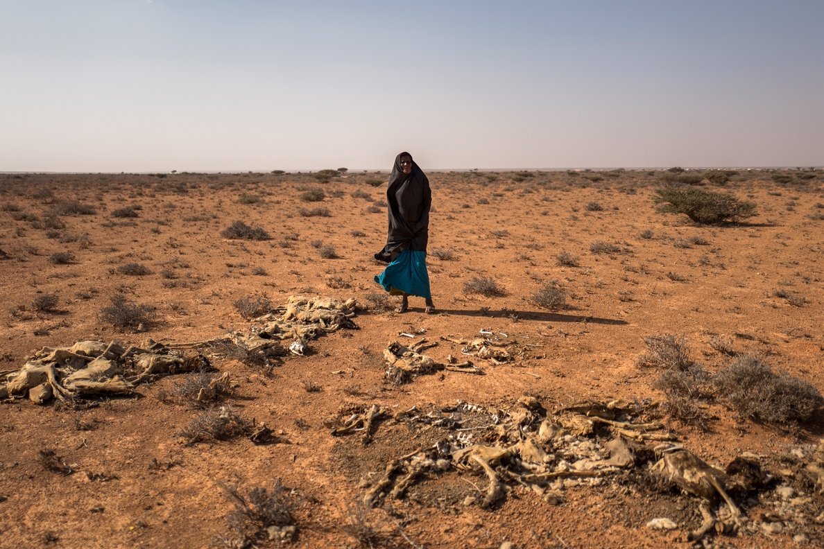 ONU y ONG piden 710 millones de dólares para evitar la hambruna en Somalia por la sequía