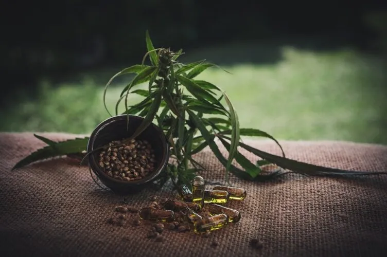 El e-commerce granadino de flores de CBD