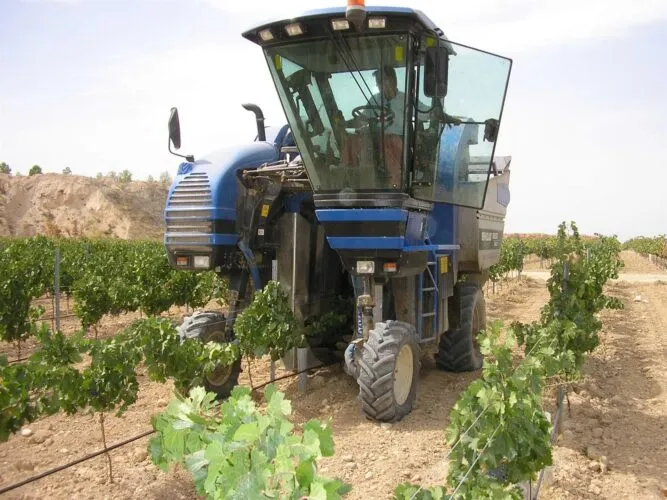 El Gobierno publica la orden con una rebaja del 15 % en el IRPF 2023 para 800.000 agricultores y ganaderos