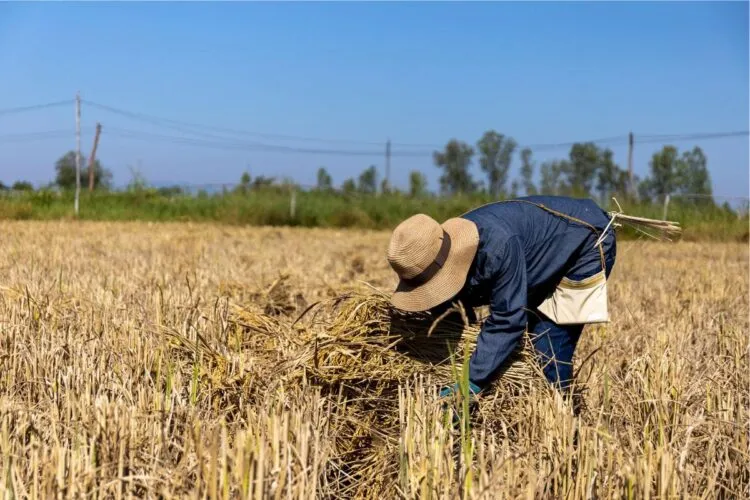 Los agricultores y ganaderos podrán presentar la solicitud única de las ayudas de la PAC hasta el 15 de junio